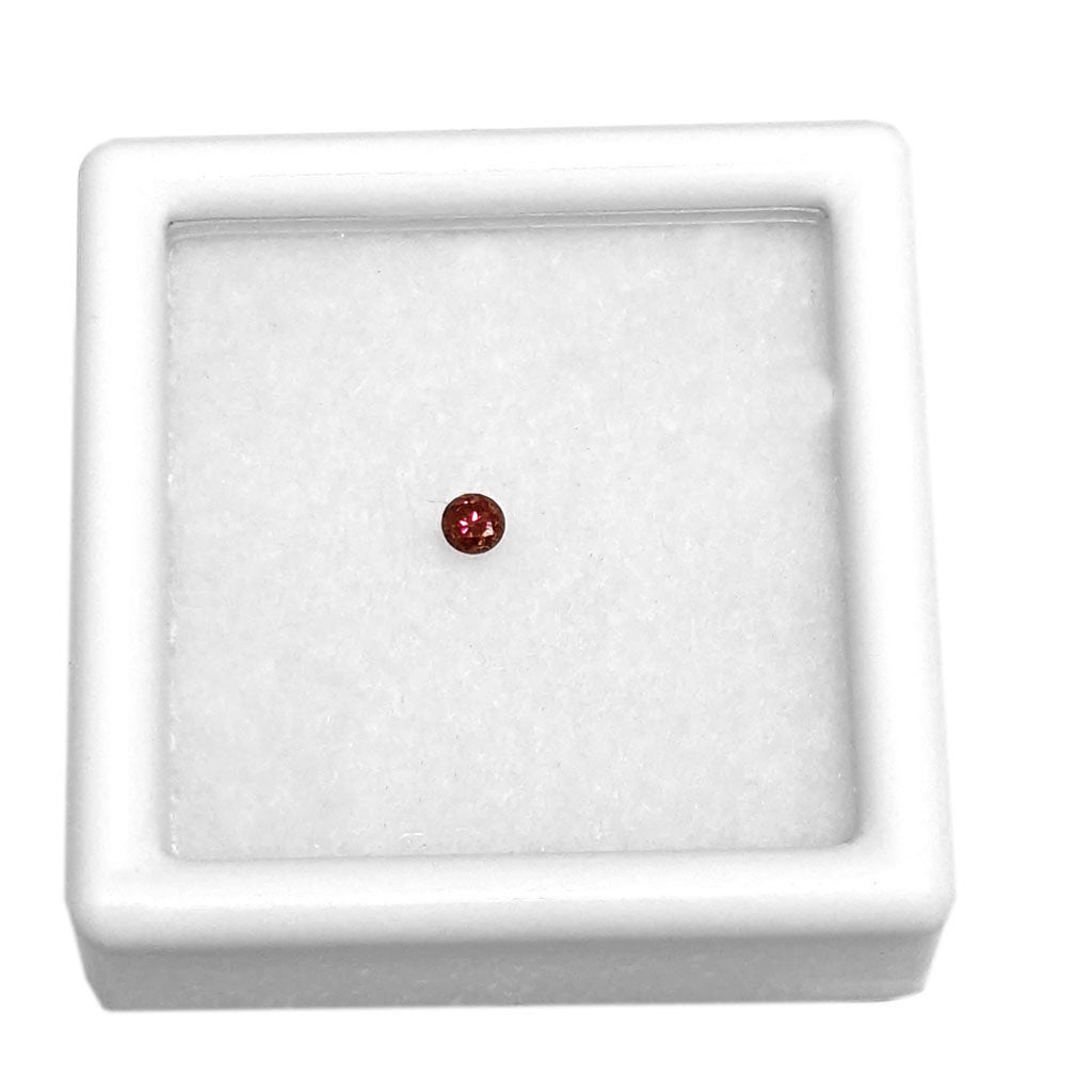 roter Diamant Brillant (Cherry) 0,04 Karat